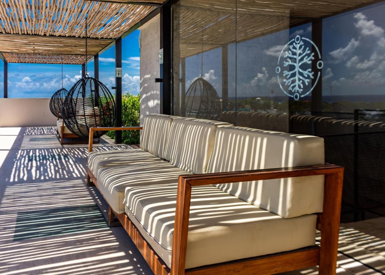 Big Studio At Kaab By The Beach With Roof Top Pool, Sauna And Jacuzzi Near Paseo Del Carmen Mall Playa del Carmen Luaran gambar